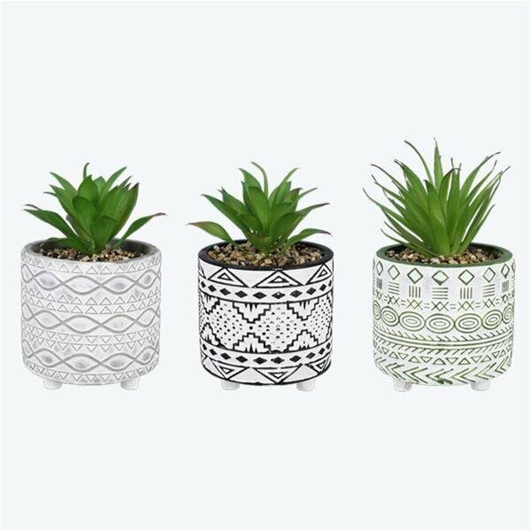 Patio Trasero Cement Pot with Greenery, Assorted Color - 3 Piece PA4260771